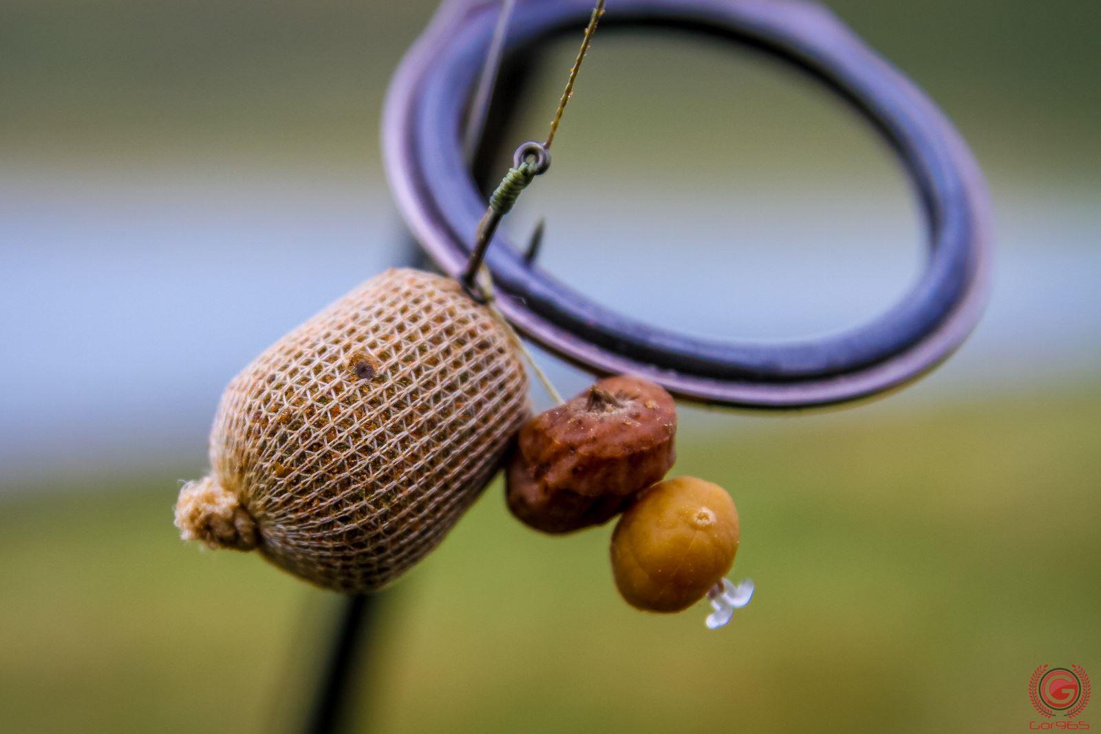 Concursuri 2016 by gor965 - 1446865811737395493160045231373856425864981o.jpg